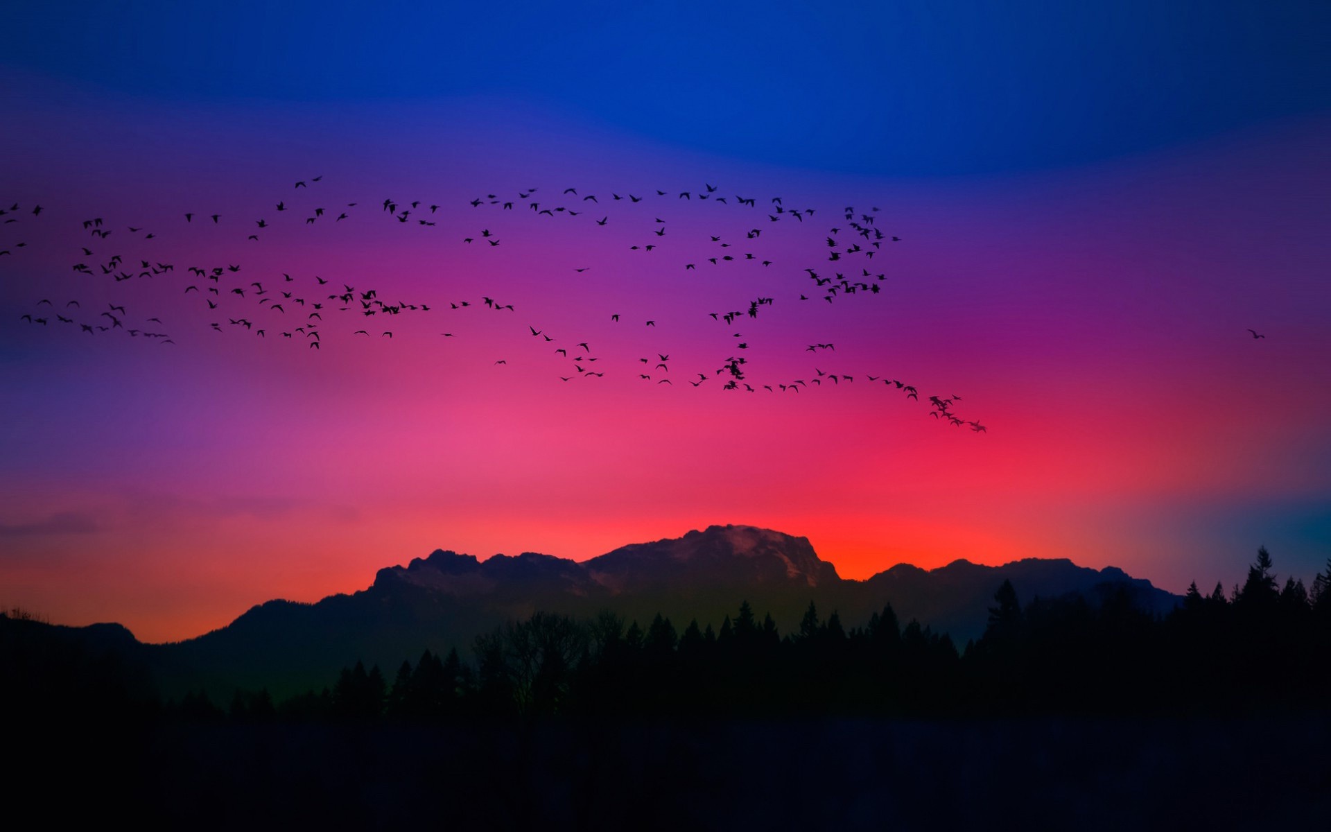Mountains Birds Sunset View Mobile Desktop Free Hd Wallpaper