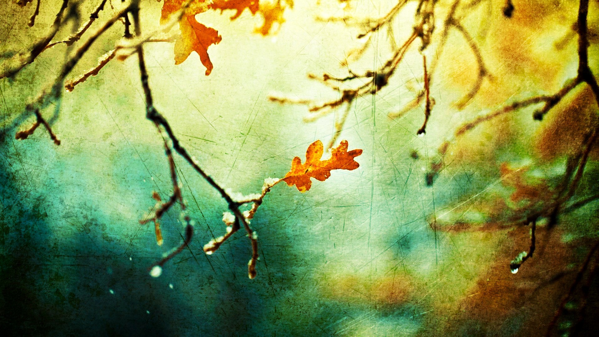 Nature Leaves Nice Mobile Desktop Free Hd Wallpaper