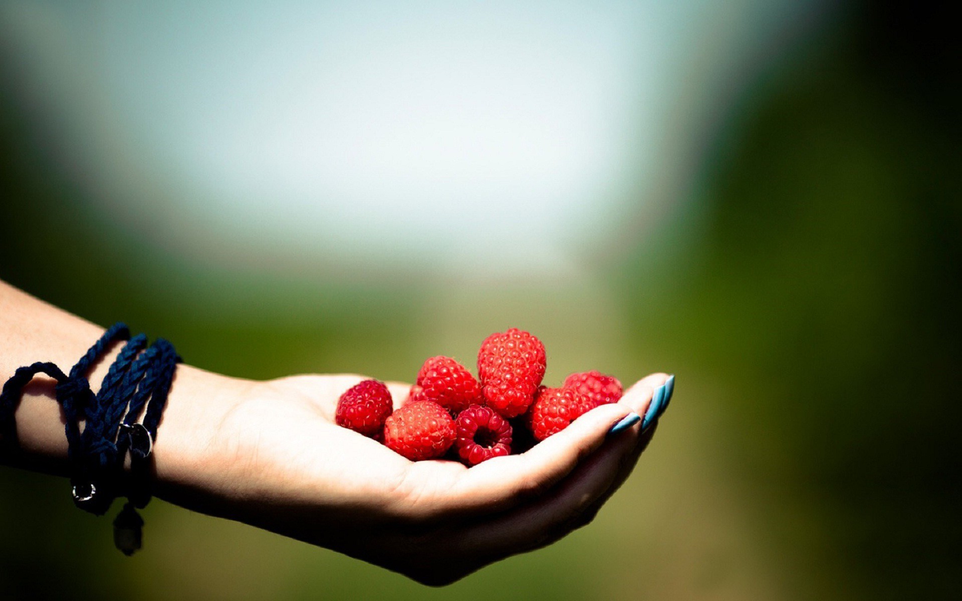 Rapberrys In Hand Download Hd Picture