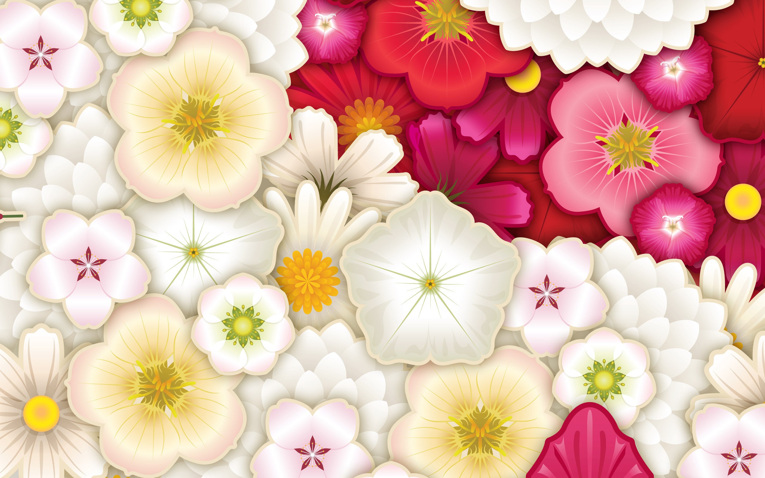 vector flowers wide hd images
