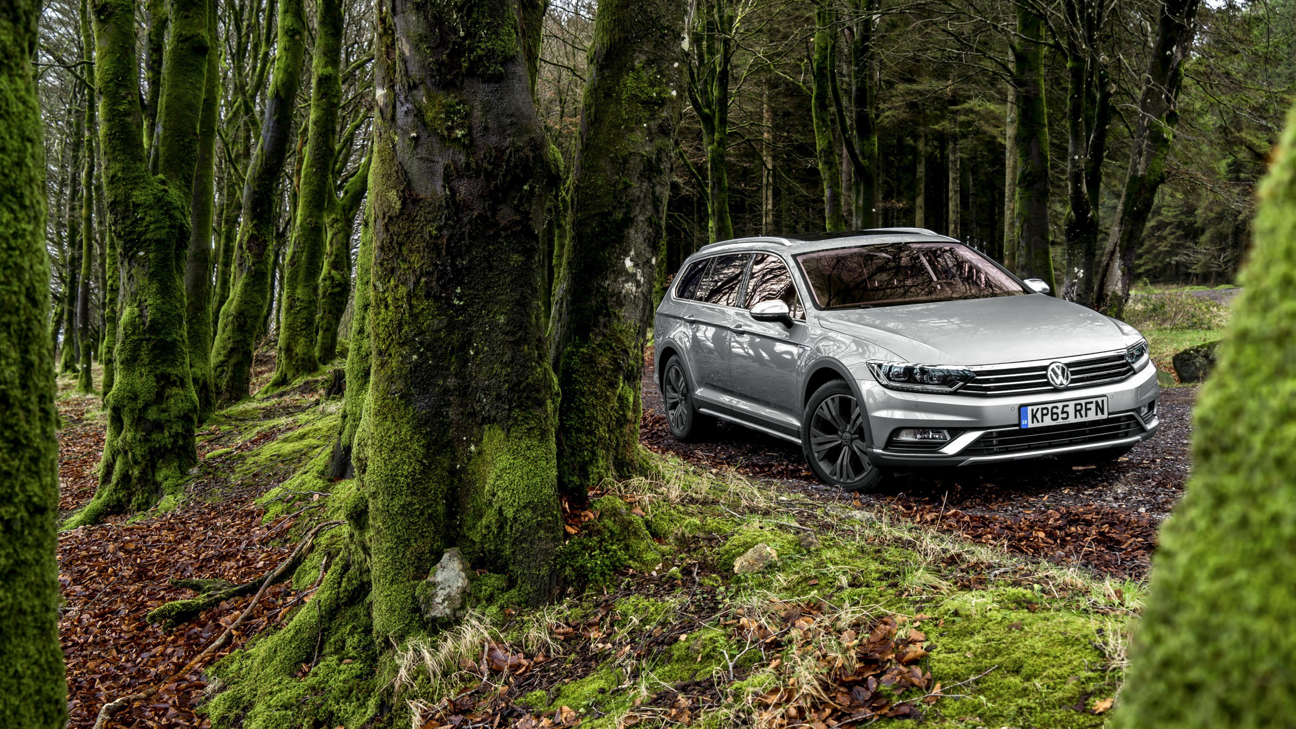 Volkswagen Passat Forest Hd Images