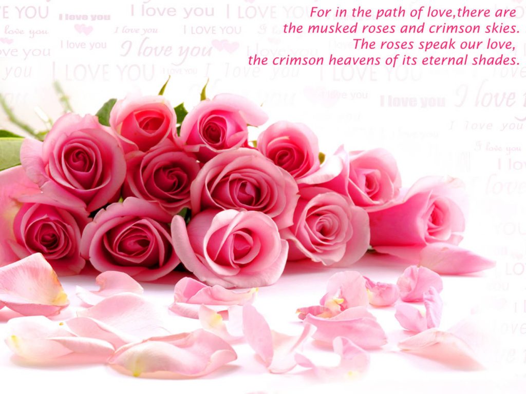nice love quotes flowers wallpaper