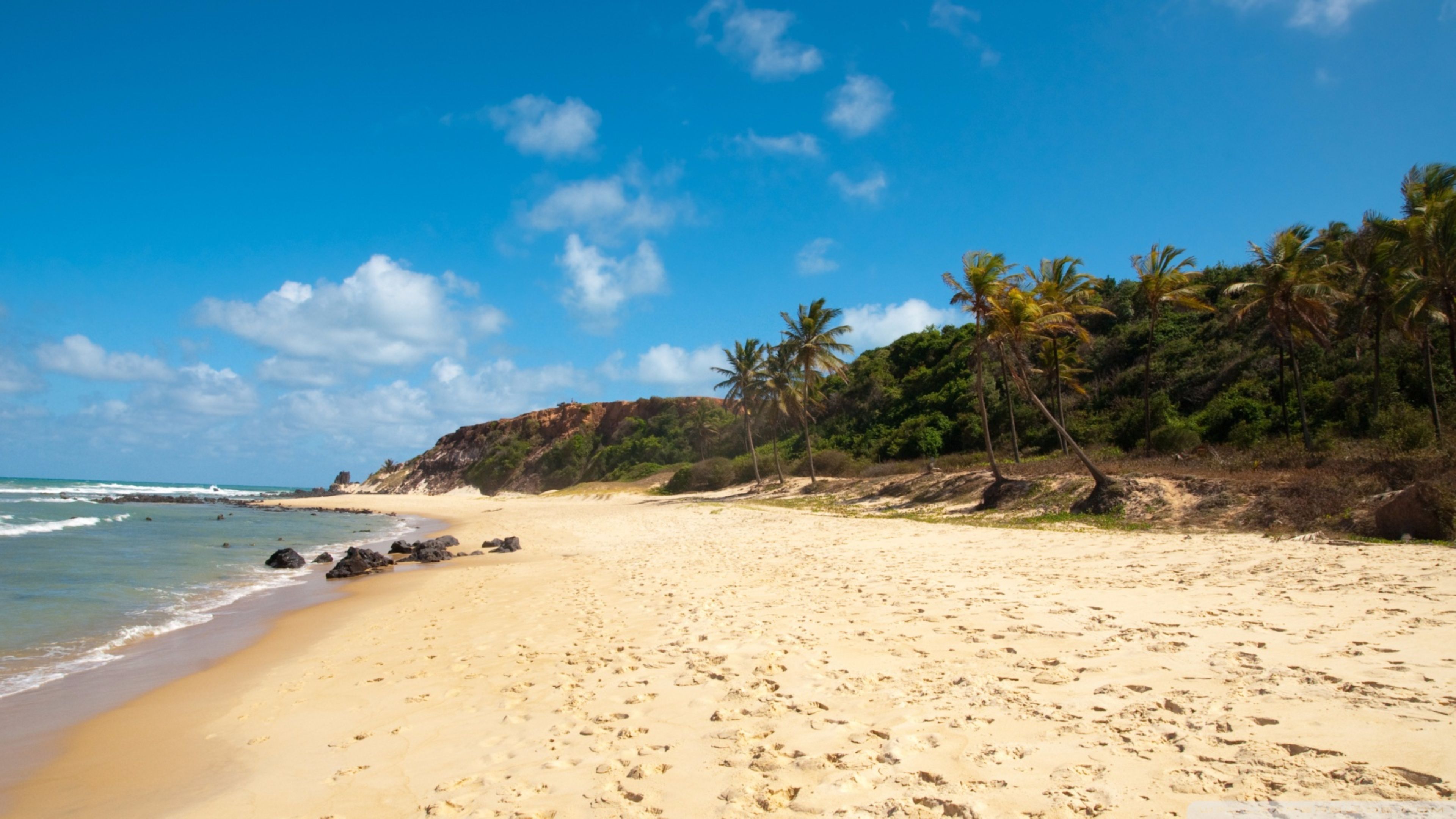 tropical beach seashore pictures free download