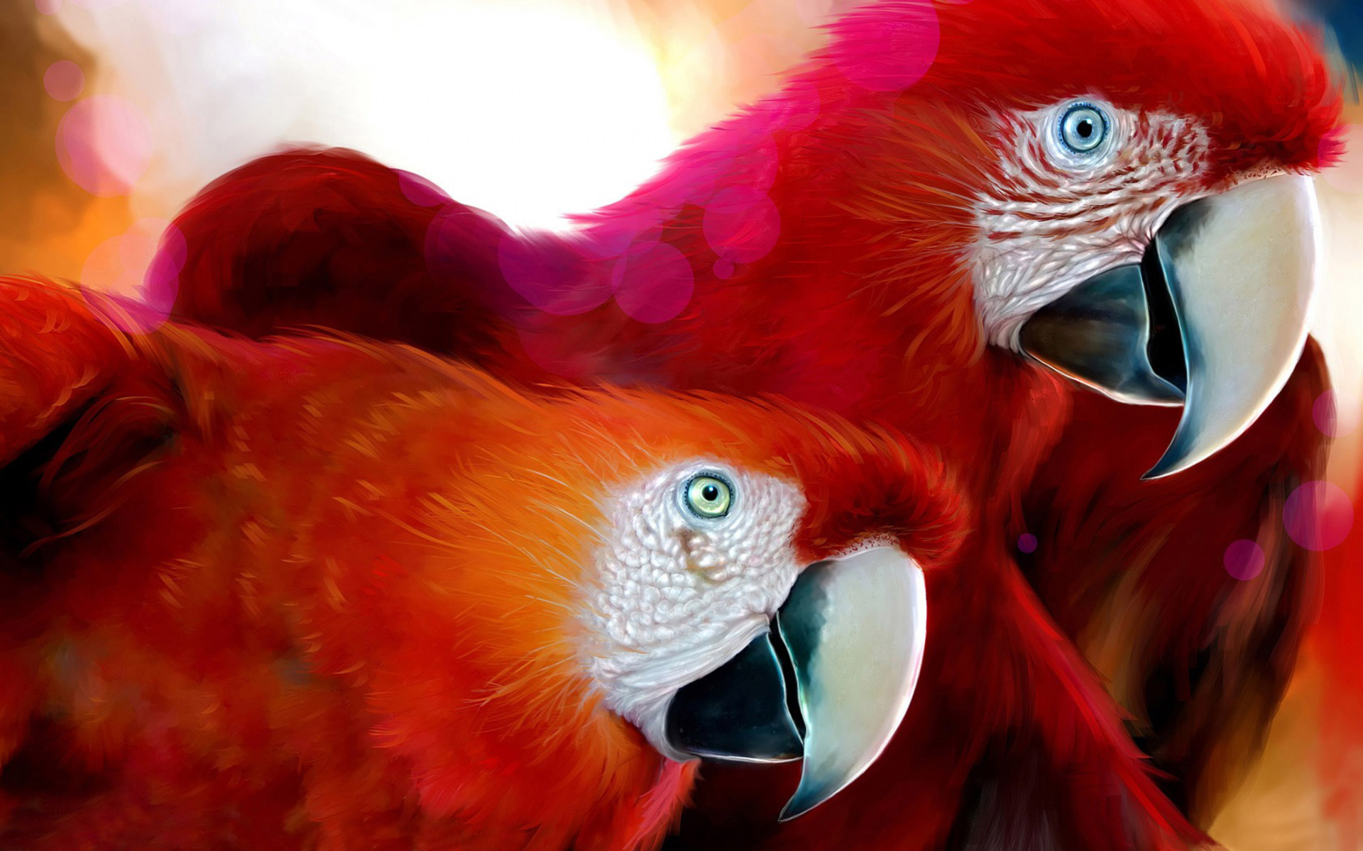 desktop images of macaw parrots wallpaper