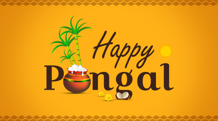 Beautiful Happy Pongal Greeting Cards Wallpaper Image Free Download