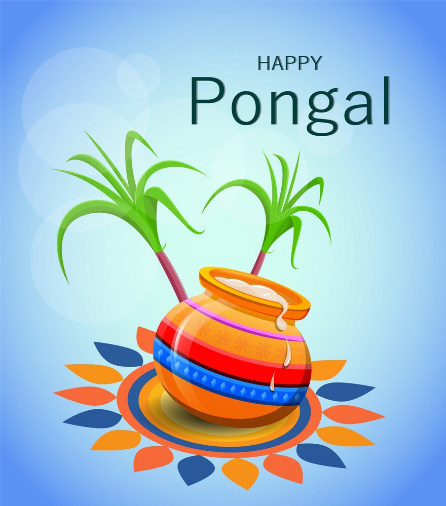 happy pongal greetings cards and wishes images whatsapp status