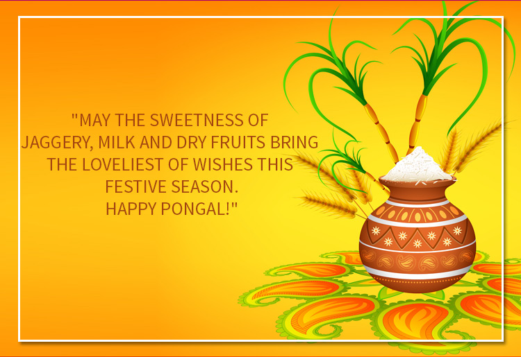 pongal wishes in english download