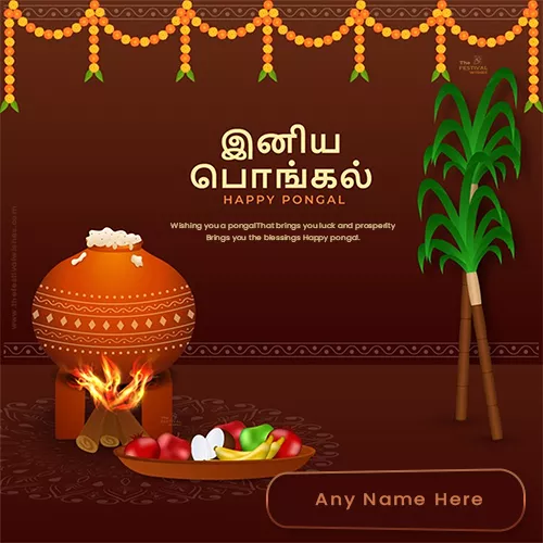 thai pongal festival tamil wishes pictures free download