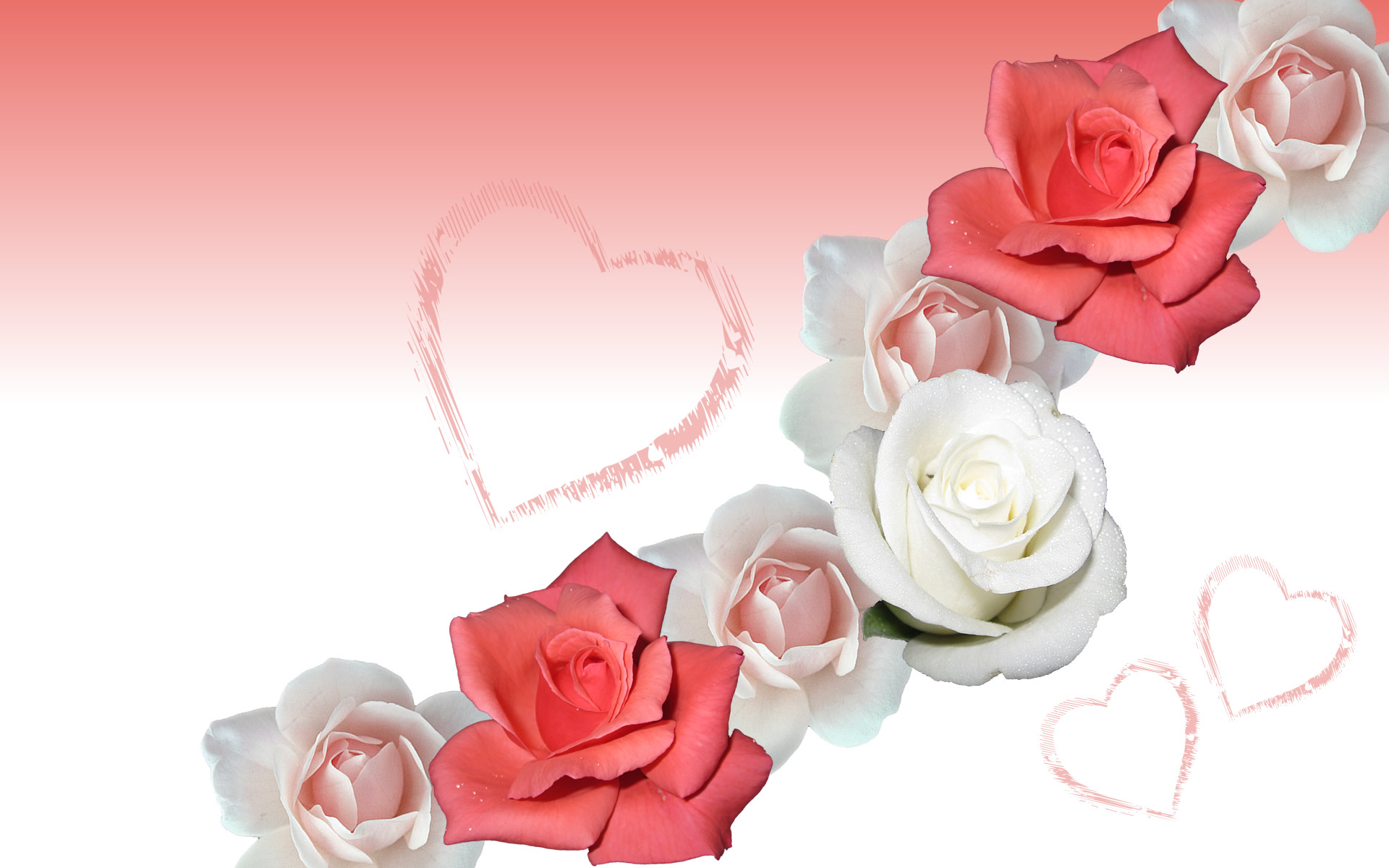 free wallpaper roses download mobile backgrounds