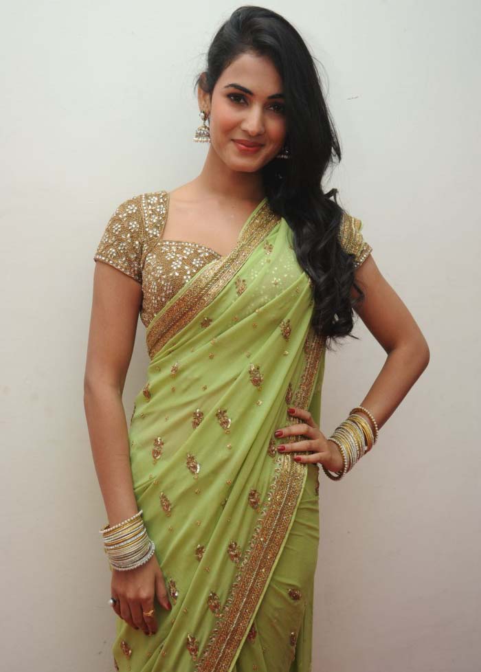 Lovely Sonal Chauhan Beautiful Images