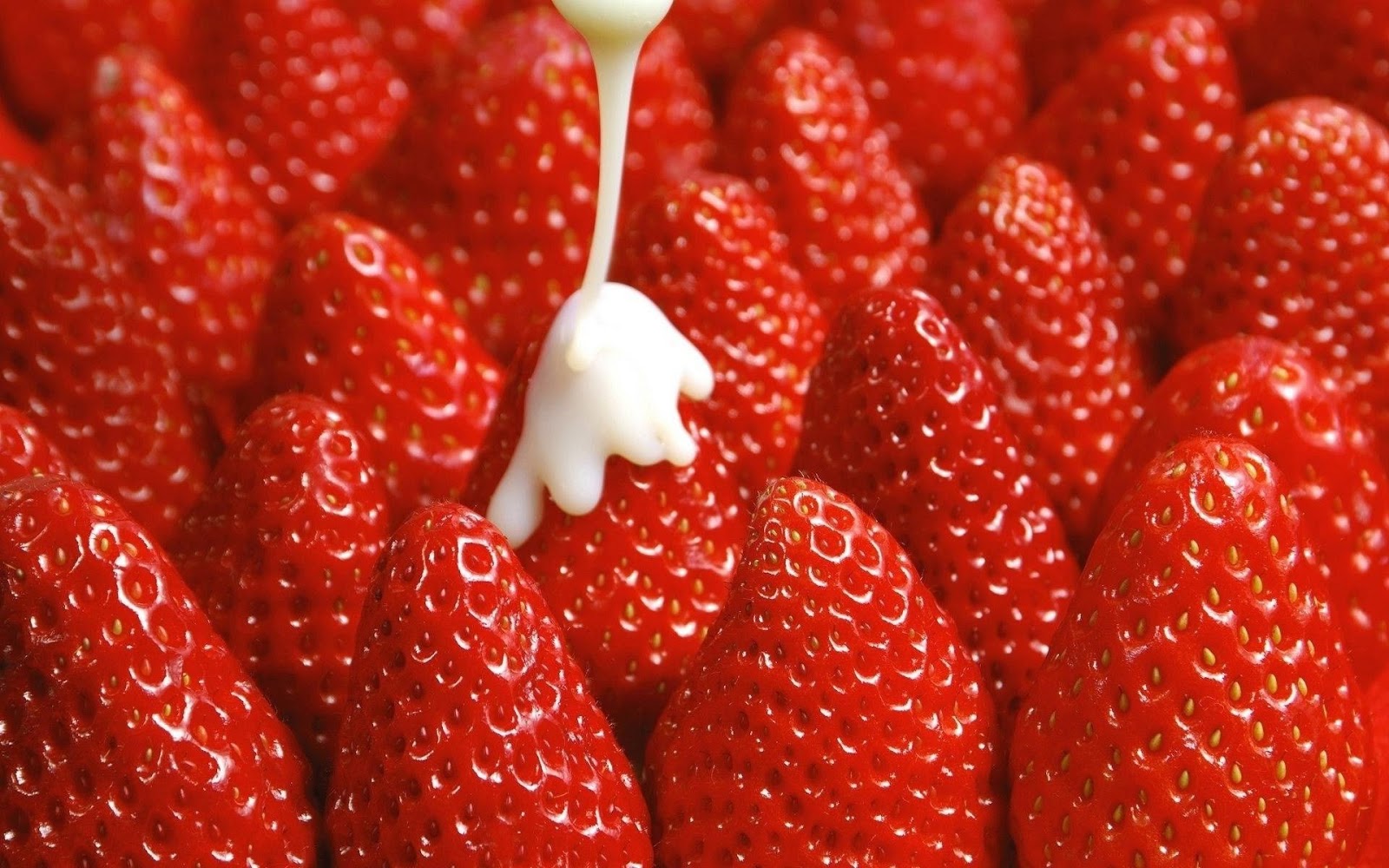 desktop strawberry fruit pictures wallpaper