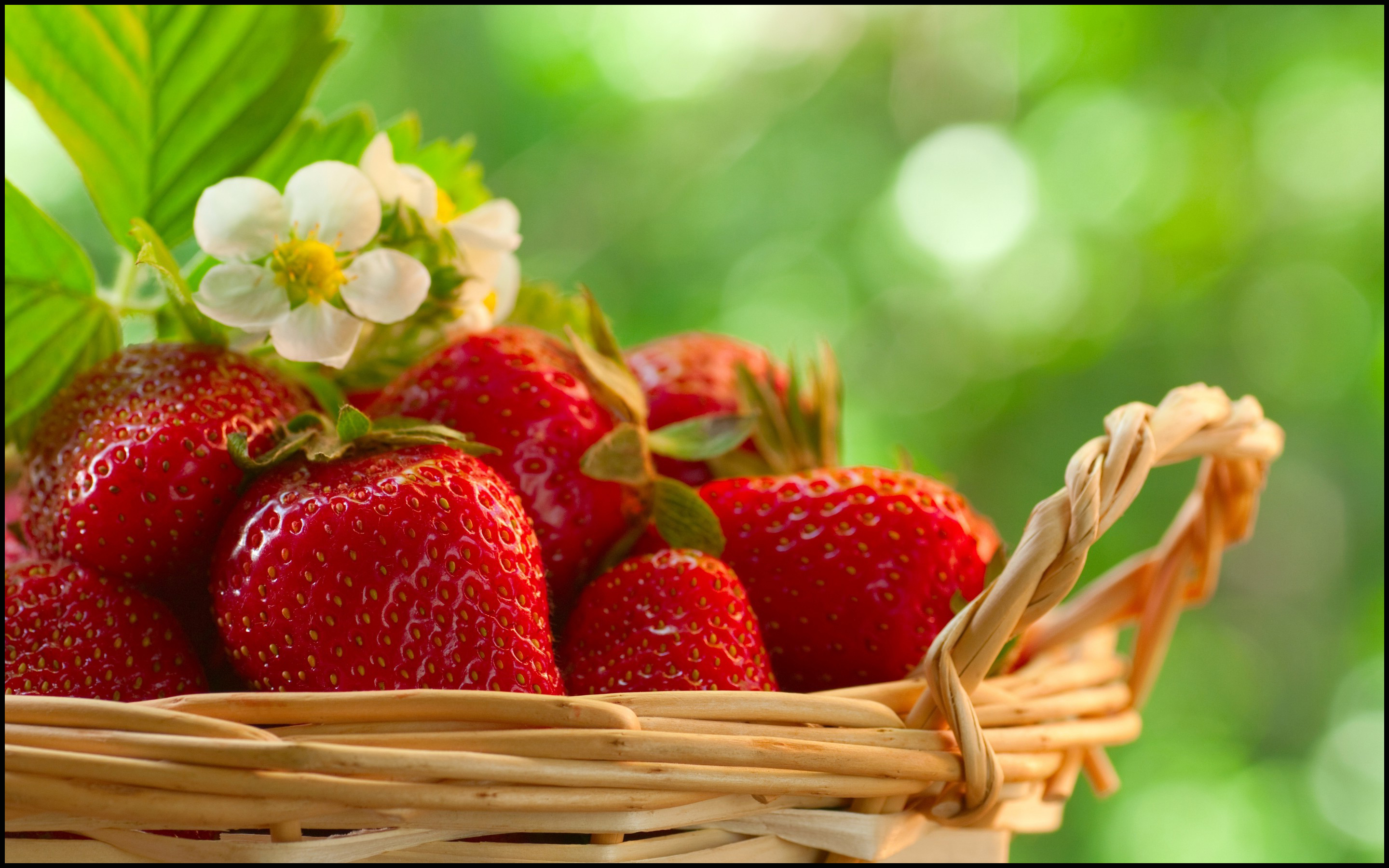 Hd Attractive Strawberry Decoration Photos Download