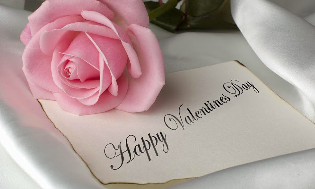 gorgeous happy valentines day festival of love pink roses wallpaper free download