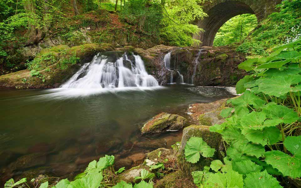 Beautiful Lush Green Waterfall Wallpapers Free Download Images