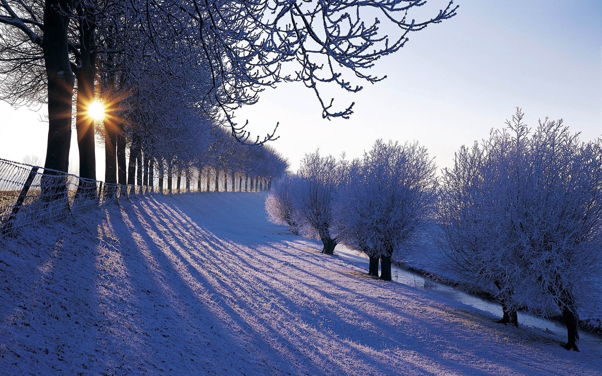 Beautiful Winter Season Free Hd Wallpapers For Desktop